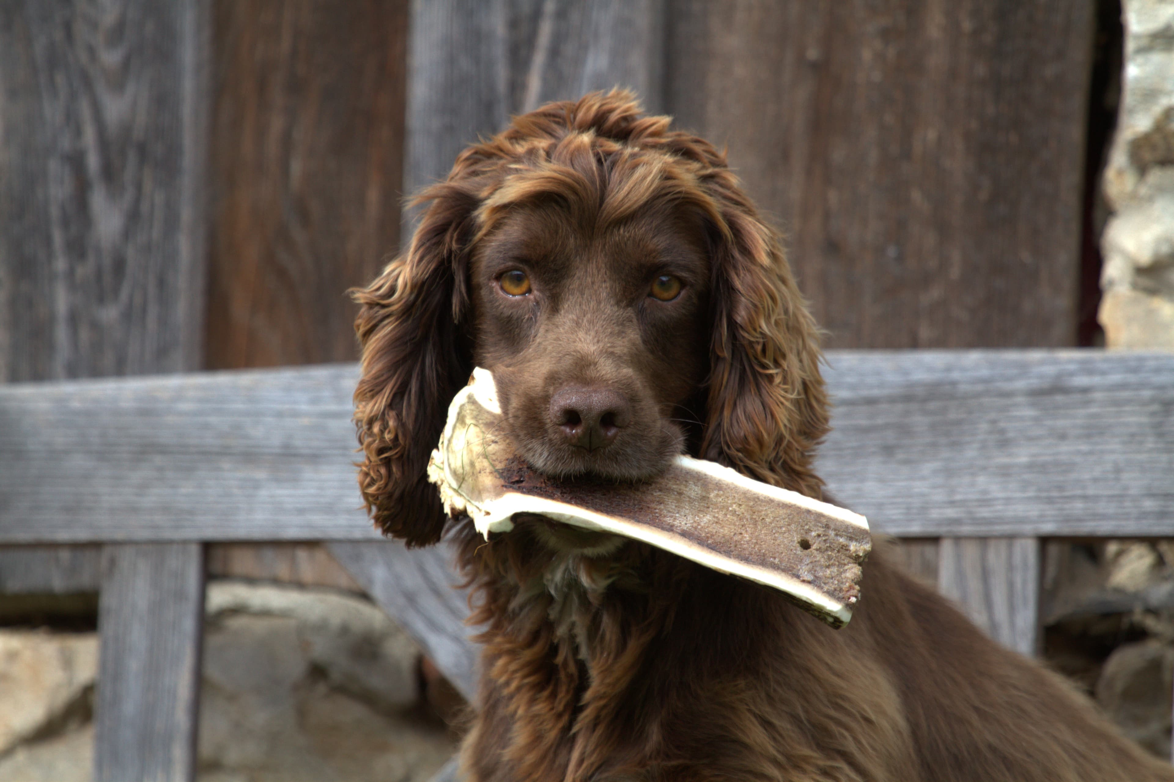 Hirschalm Slovakia k.s.