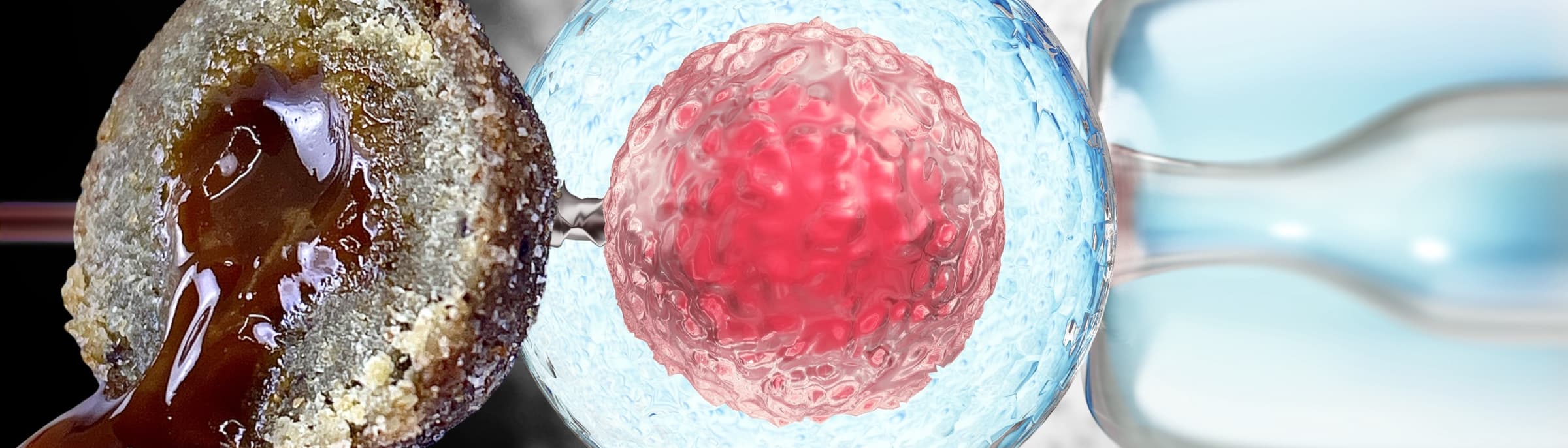 Lukas Krasa LK Baits - NUTRIGO