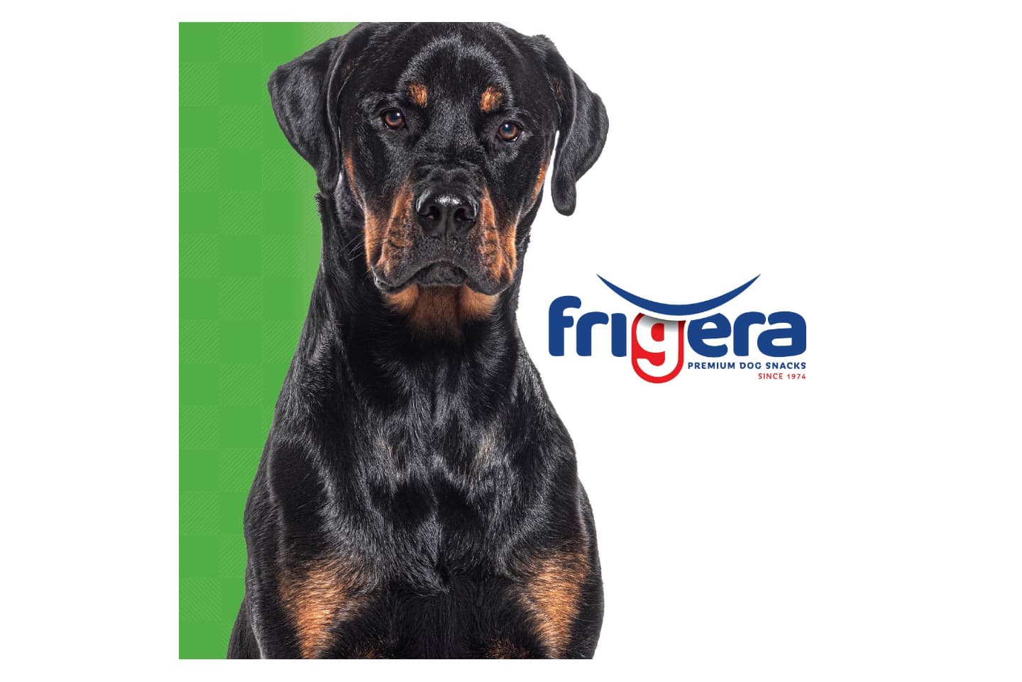 friGERA AG