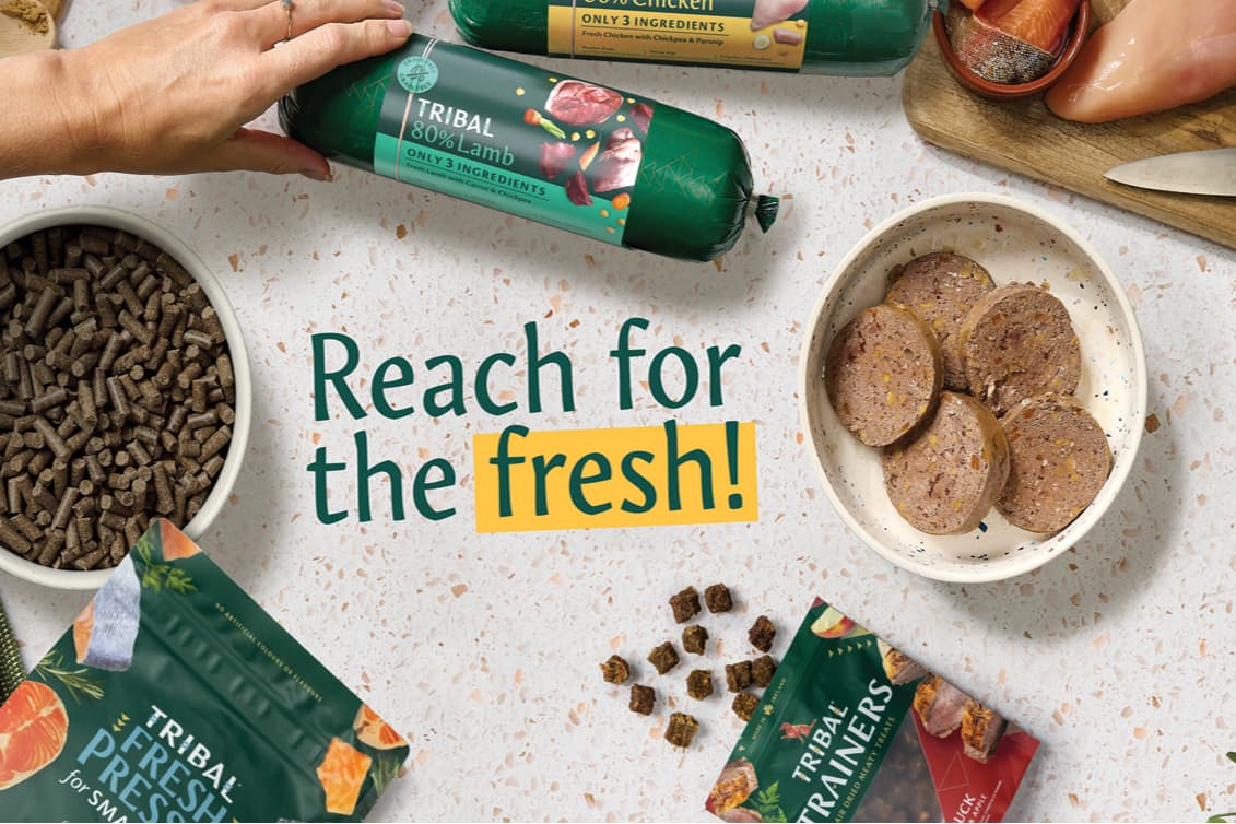 Tribal - part of the Symply Group