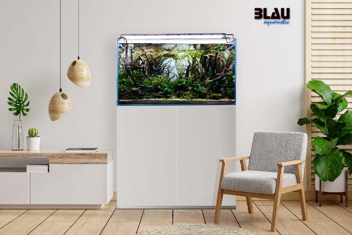 BLAU Aquaristic / Barcelona Marine Farm S.L.