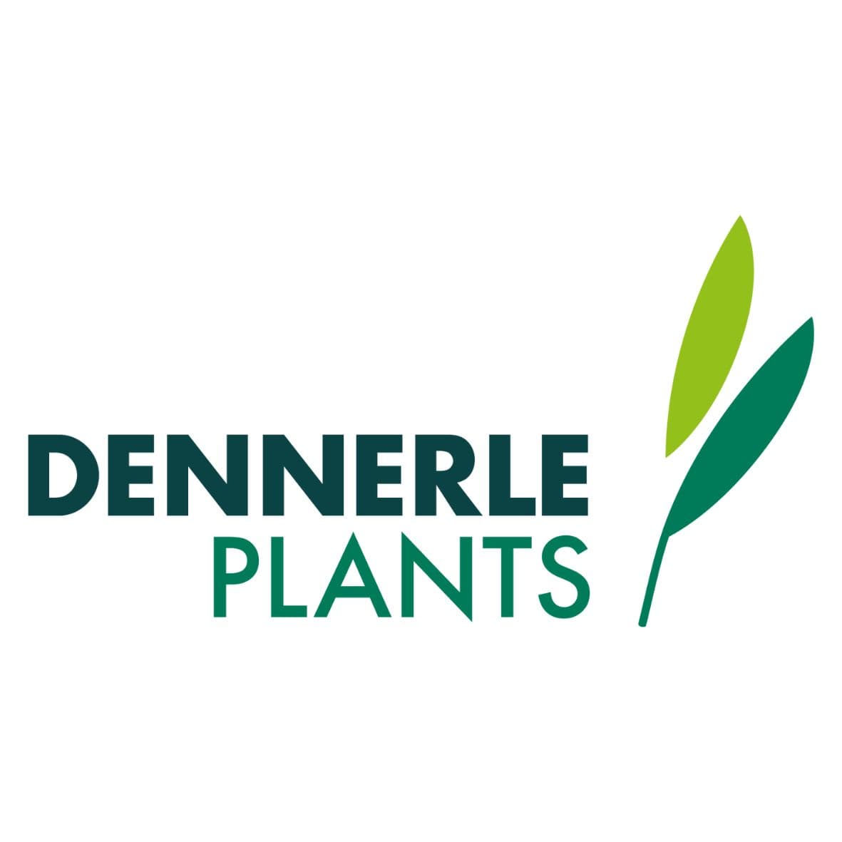 Dennerle Plants GmbH logo