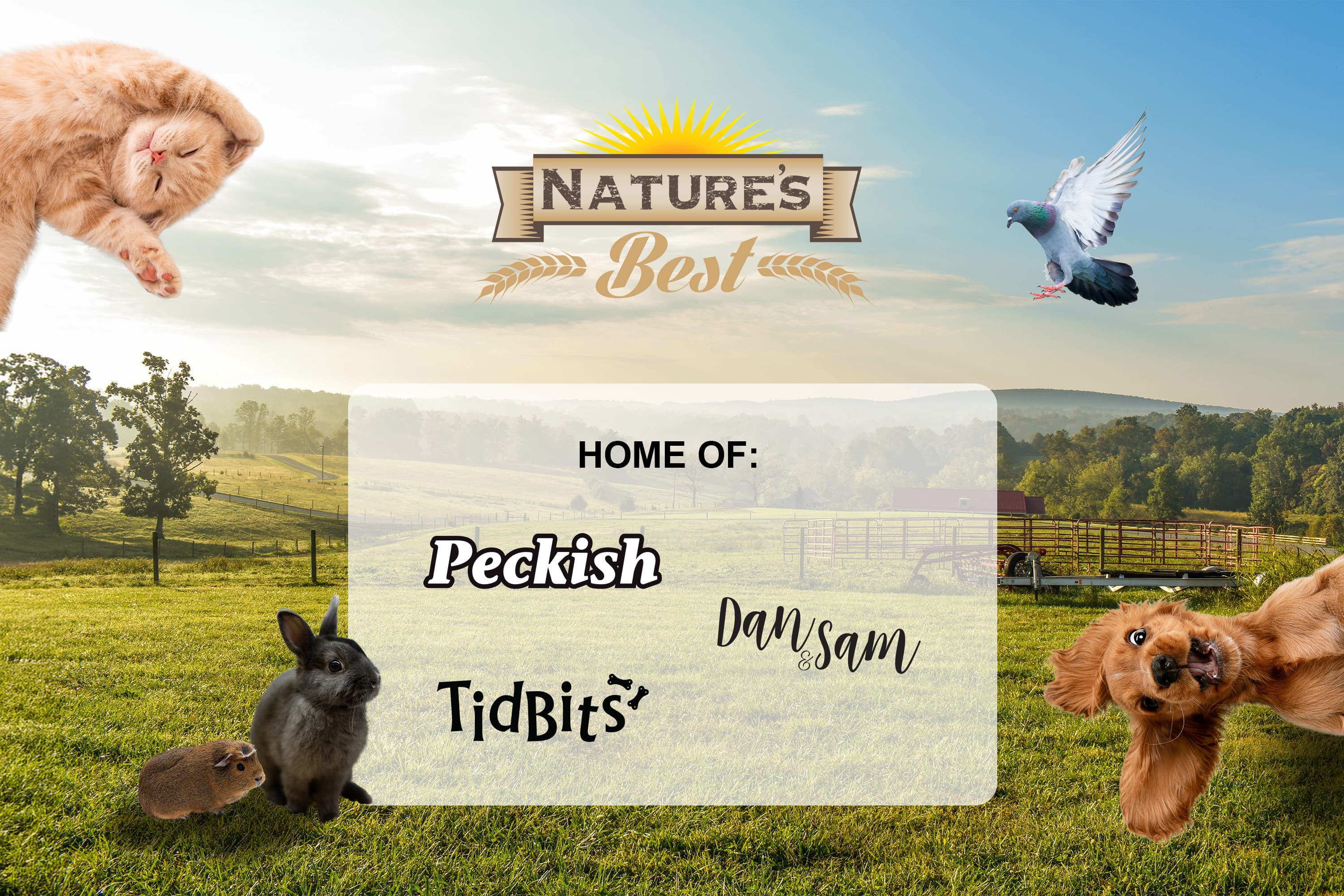 Nature's Best (Tas) Pty Ltd