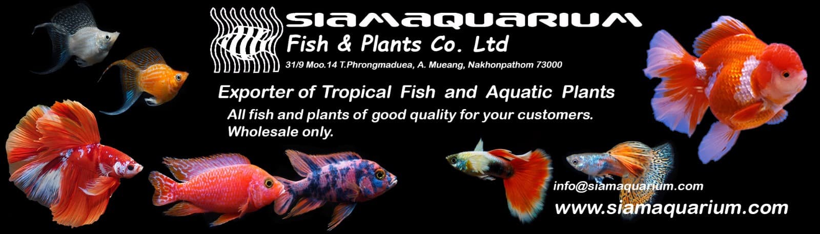 Siamaquarium Fish & Plants Co.,Ltd.