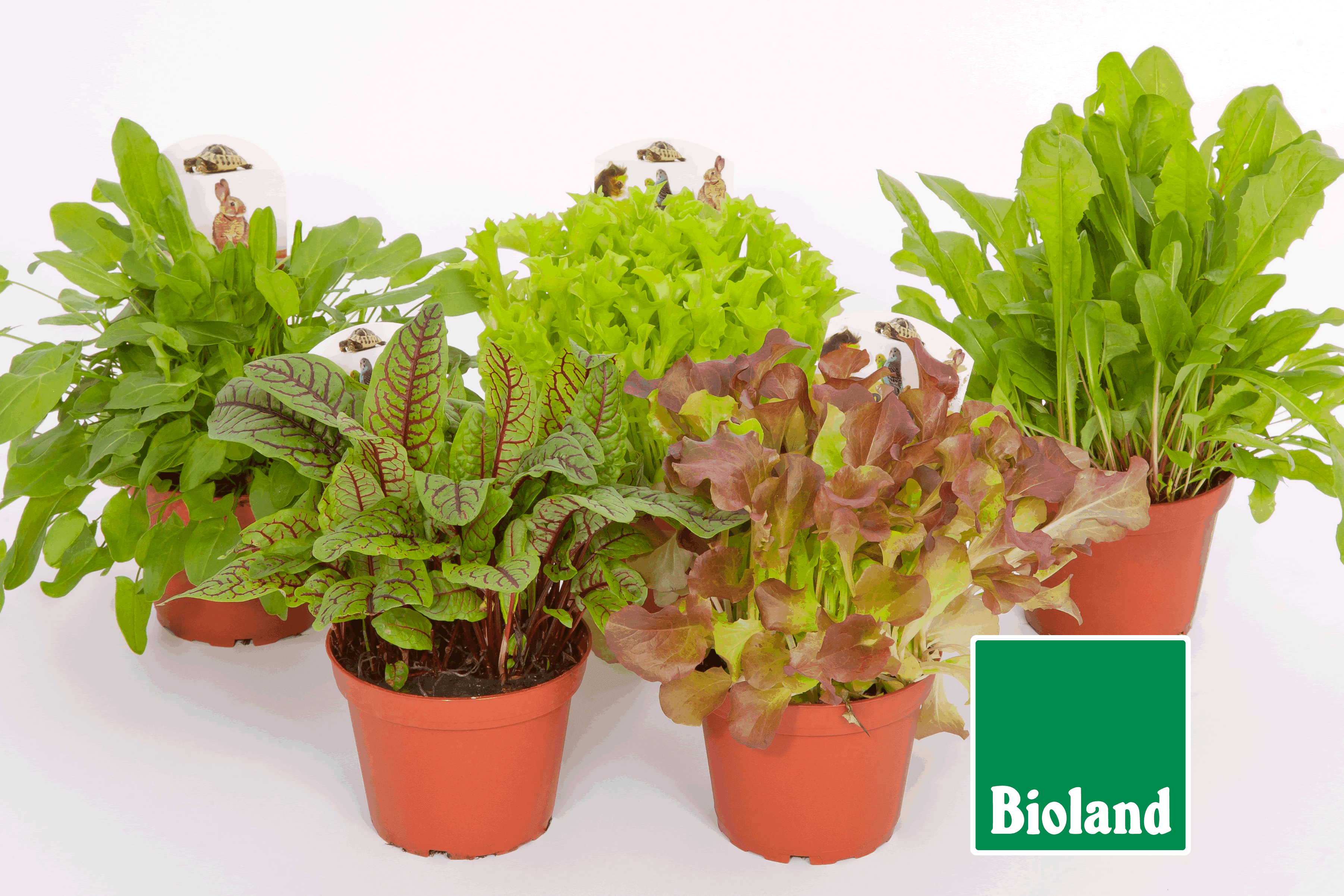 Fleischle Gartenbau GbR