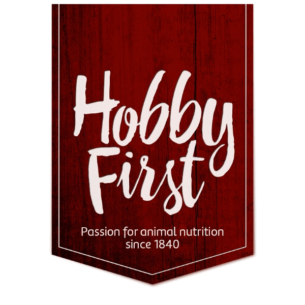 HobbyFirst logo