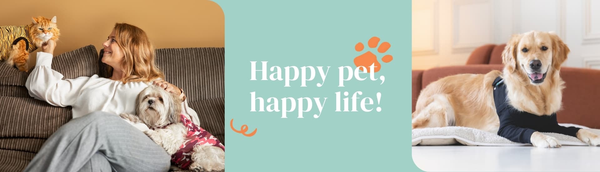 Suitical International B.V.