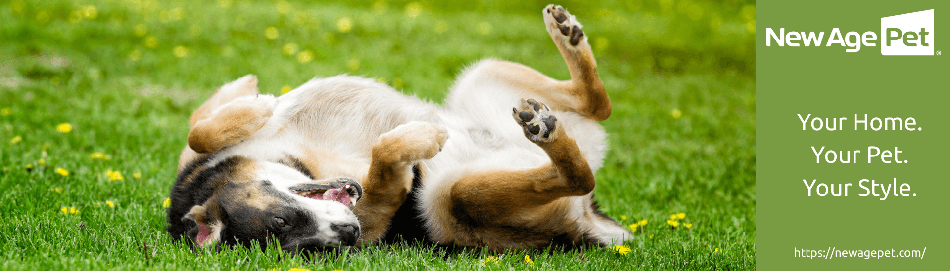 Pinta International Inc. DBA- New Age Pet