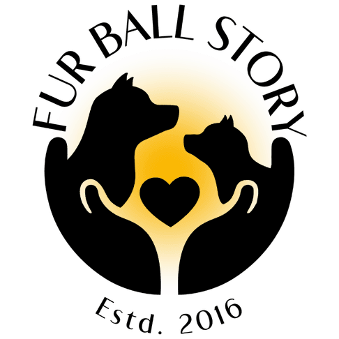 Fur Ball Story logo