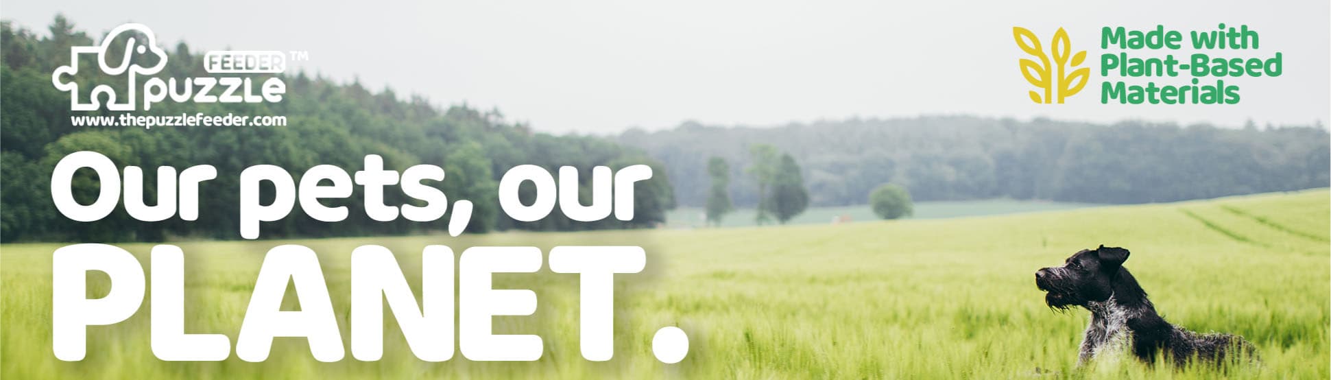 PETFUTURE LLC