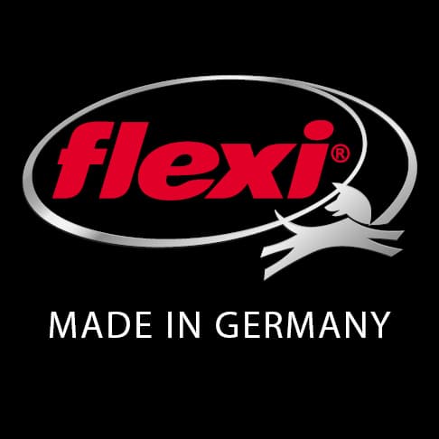 flexi-BOGDAHN INTERNATIONAL GmbH & Co. KG logo