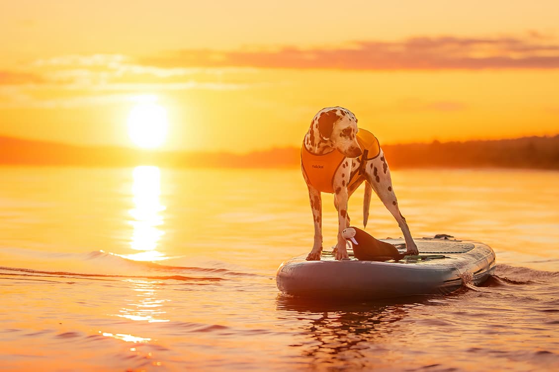 Rukka / L-Fashion Group GmbH