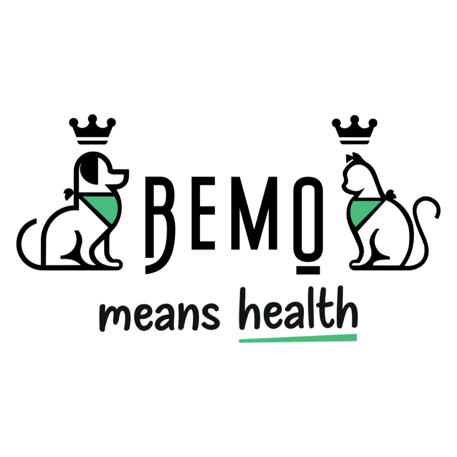 BEMO logo