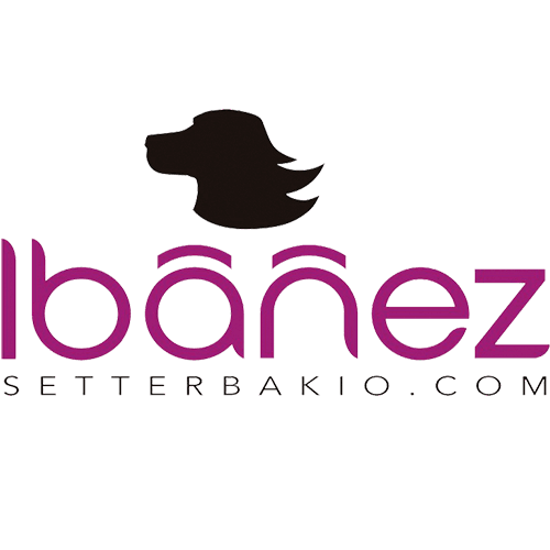 Ibáñez - Setter Bakio S.L. logo