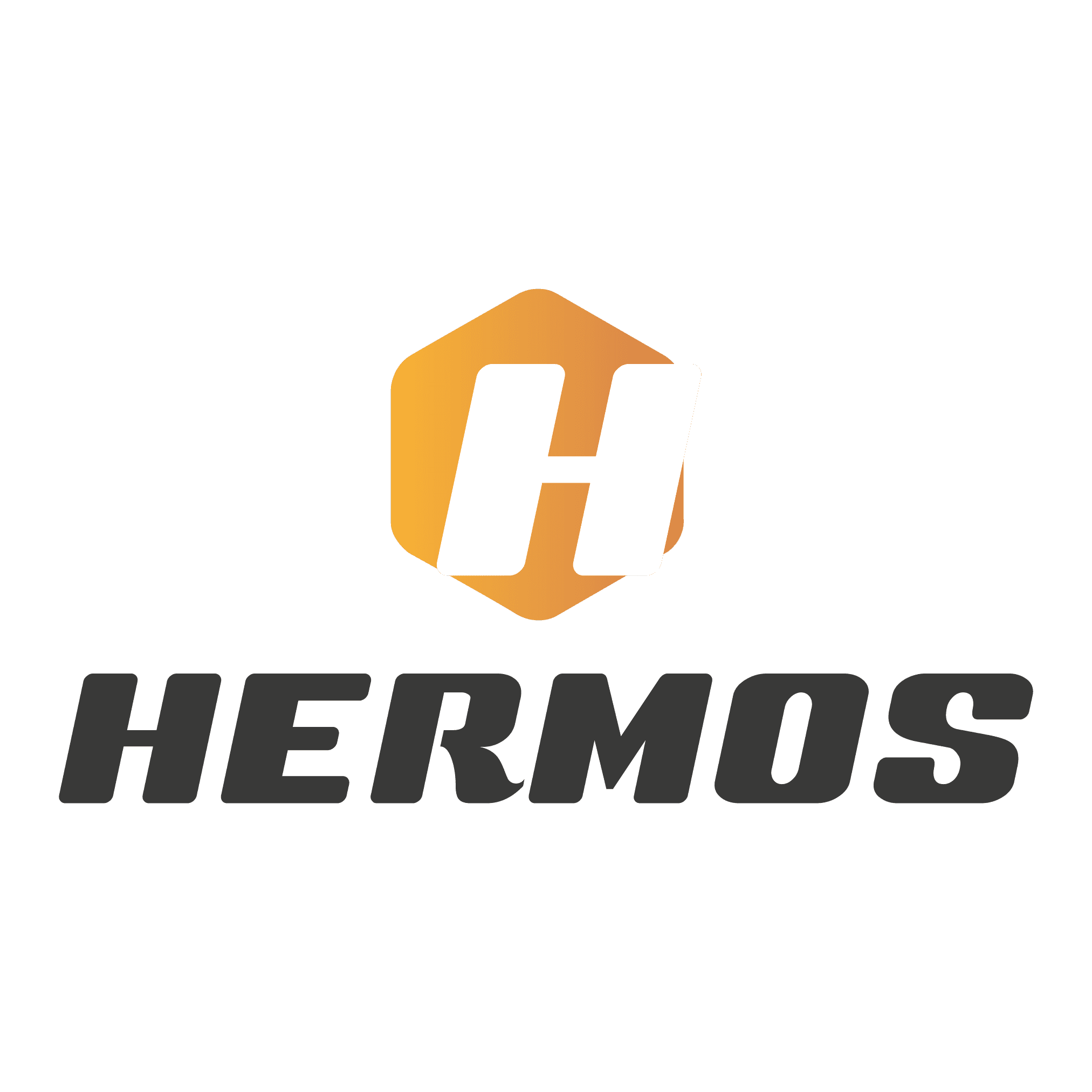 HERMOS GIDA LTD. STI. logo