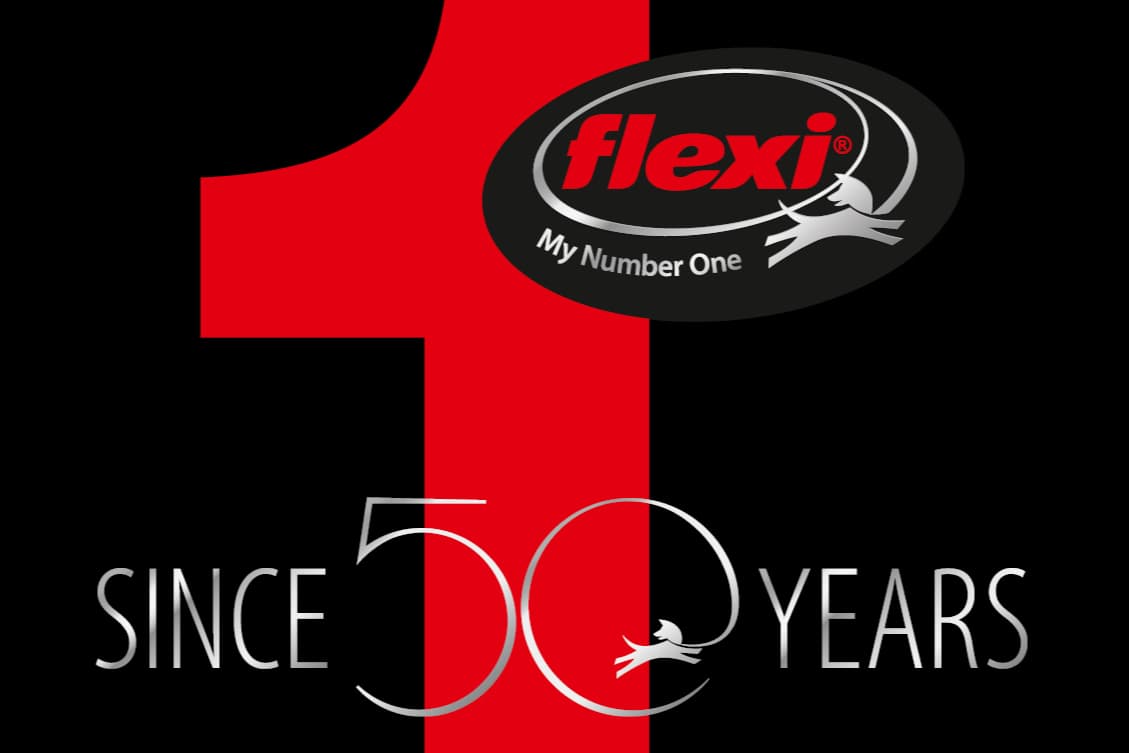 flexi-BOGDAHN INTERNATIONAL GmbH & Co. KG