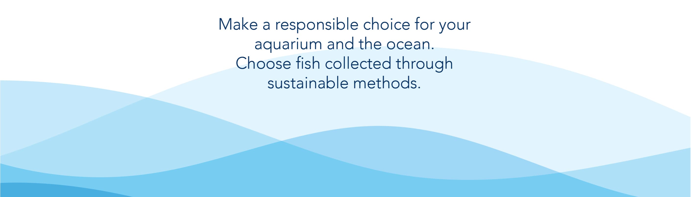 Aquatic Nurseries (Private) Limited