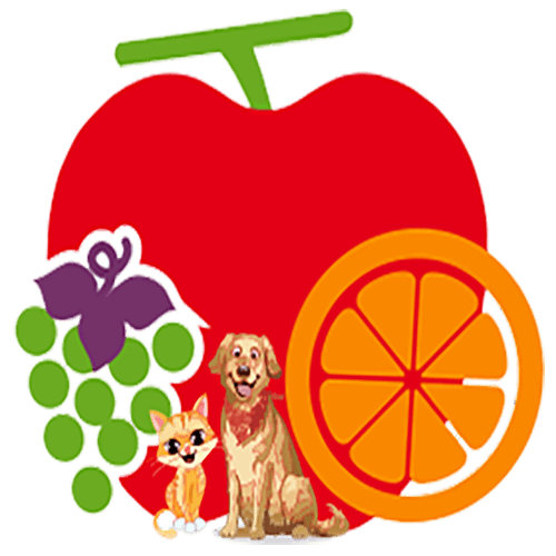 FRUIT KINGDOM logo