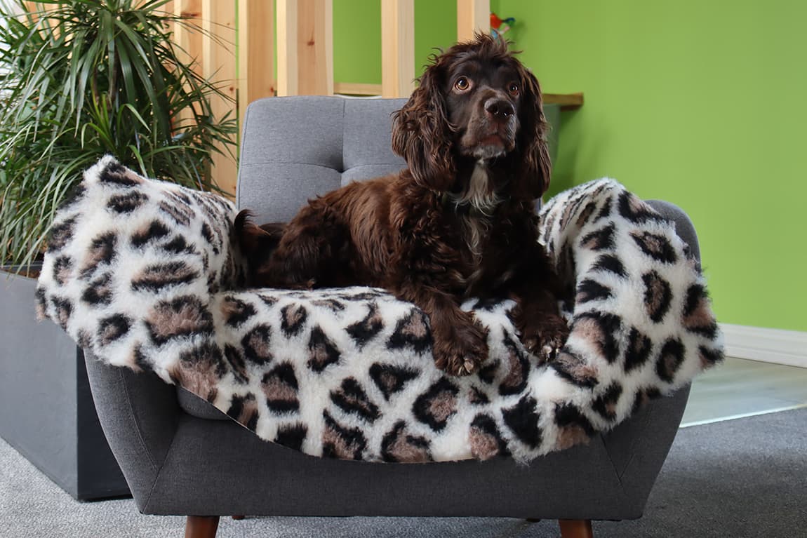 Simply2 Pet Products