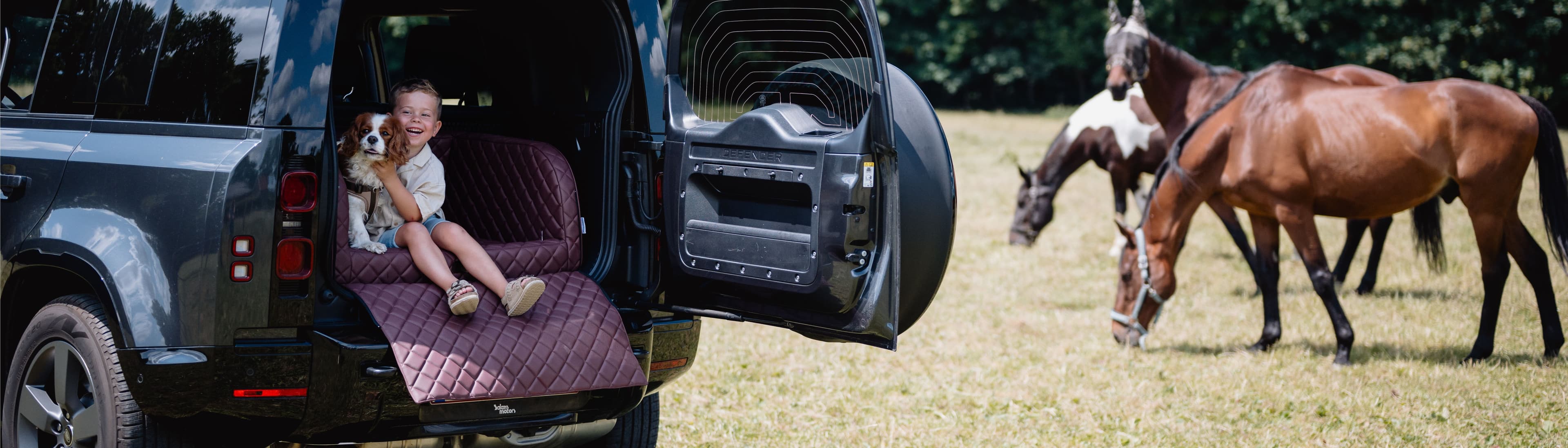 DOGSTYLER PaWorks GmbH