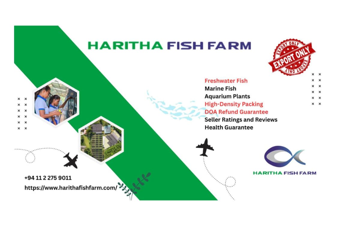 Haritha Fish Farm