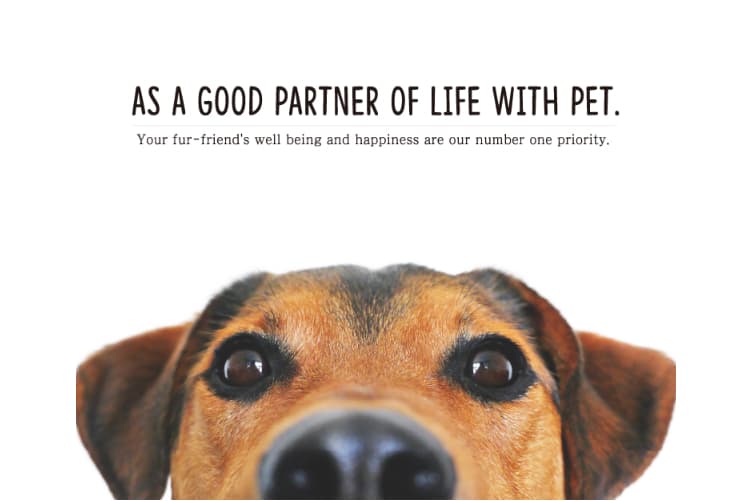 DoggyMan H.A. Co., Ltd.