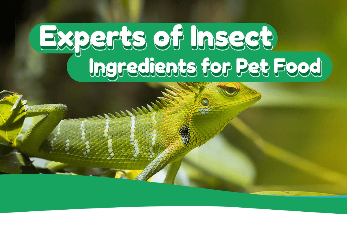 Probugs Feeds(Hunan Haikun Agricultural Science And Technology Co., Ltd)