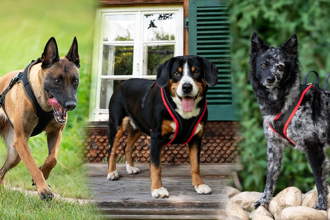 Beat Grossenbacher GmbH