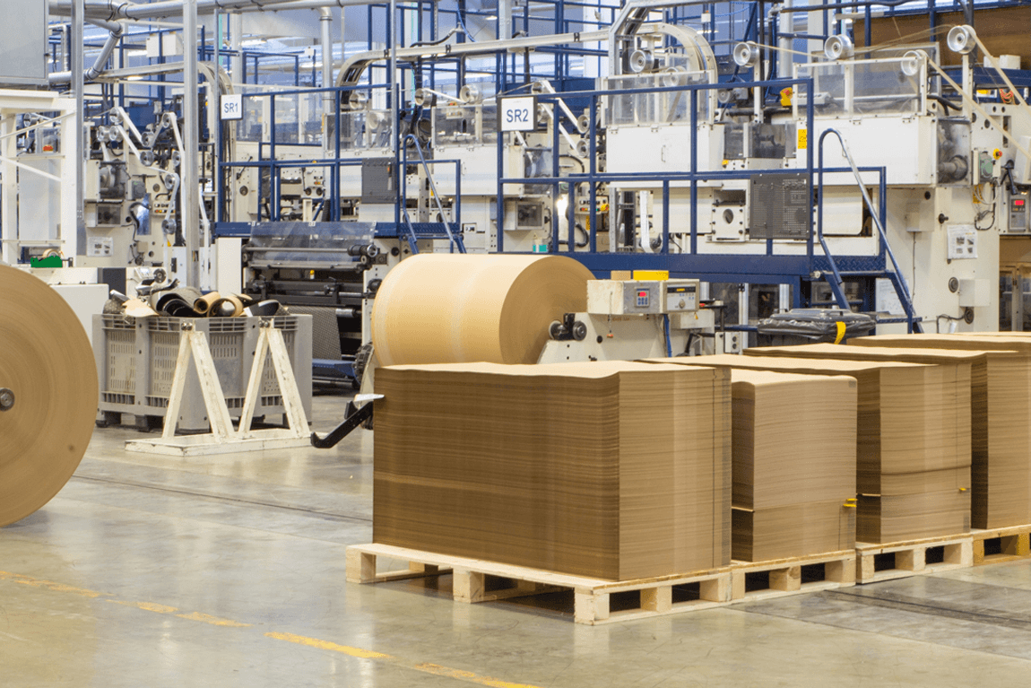 FIORINI INTERNATIONAL