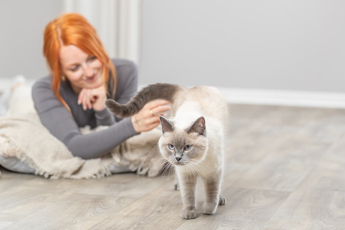 TRIXIE Heimtierbedarf