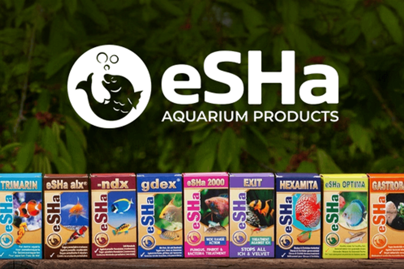 Sea Horse IPC BV / eSHa Labs