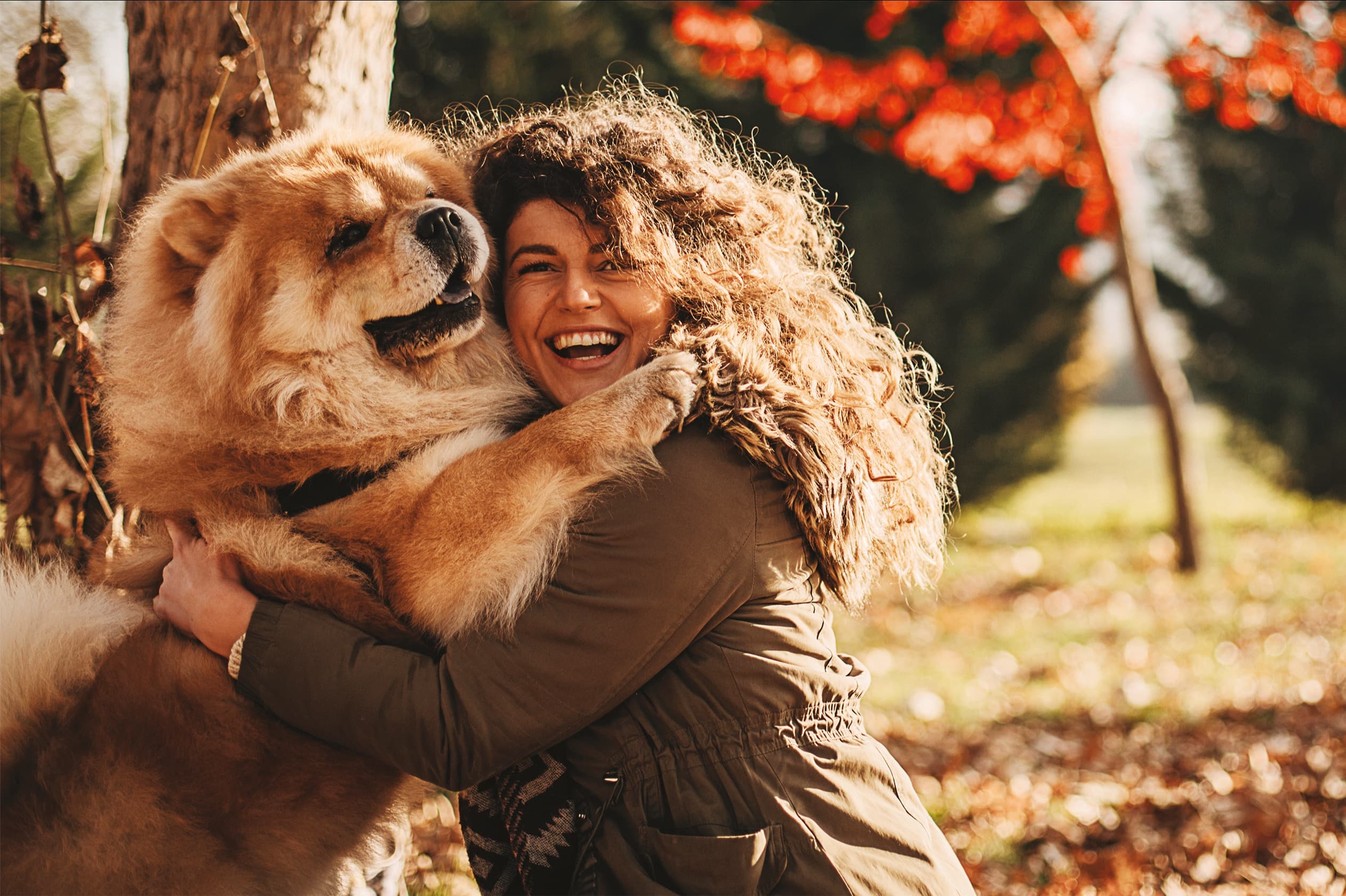 Symrise Pet Food