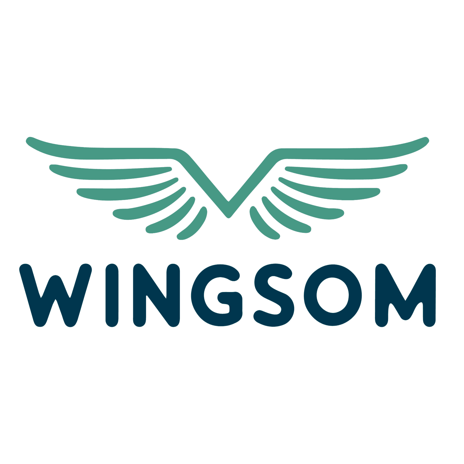 Wingsom Industries (Shanghai) Co., Ltd. logo