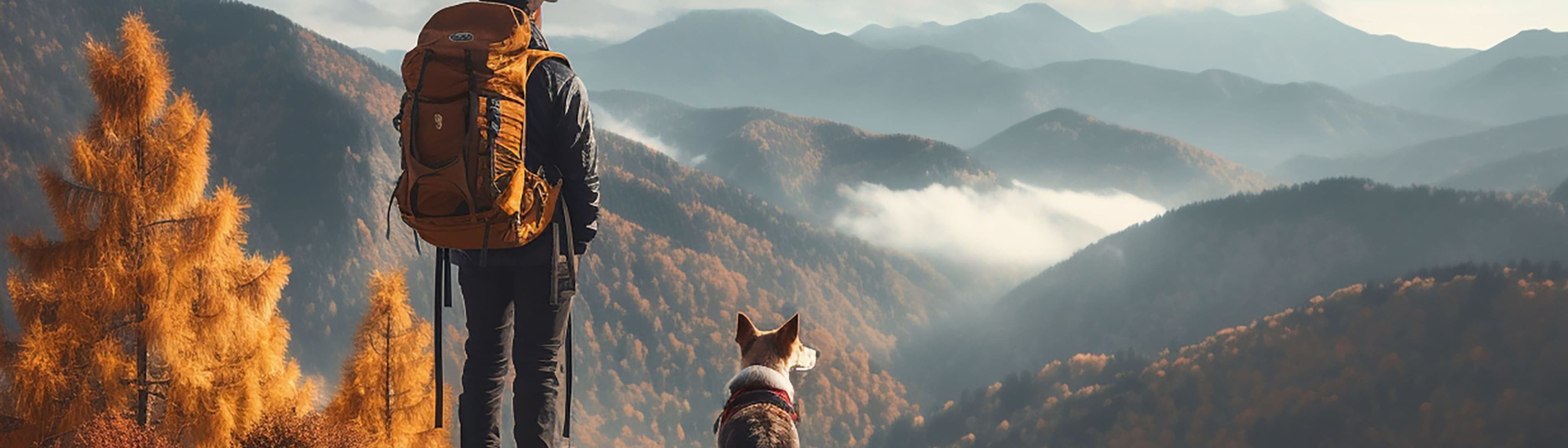 CAMON & CROCI PET GROUP SPA