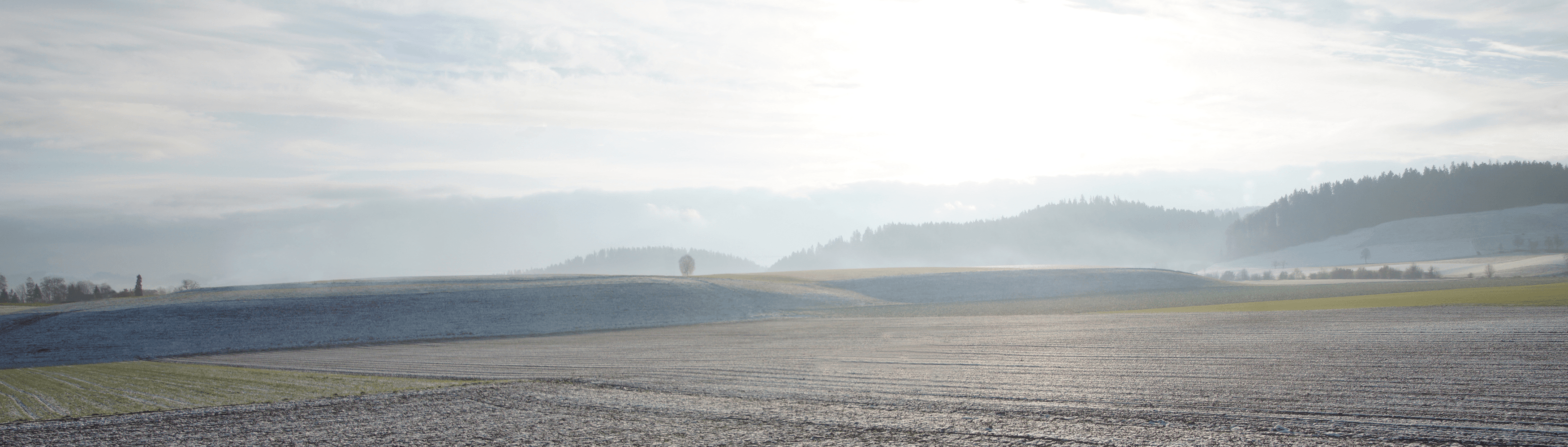 Beat Grossenbacher GmbH