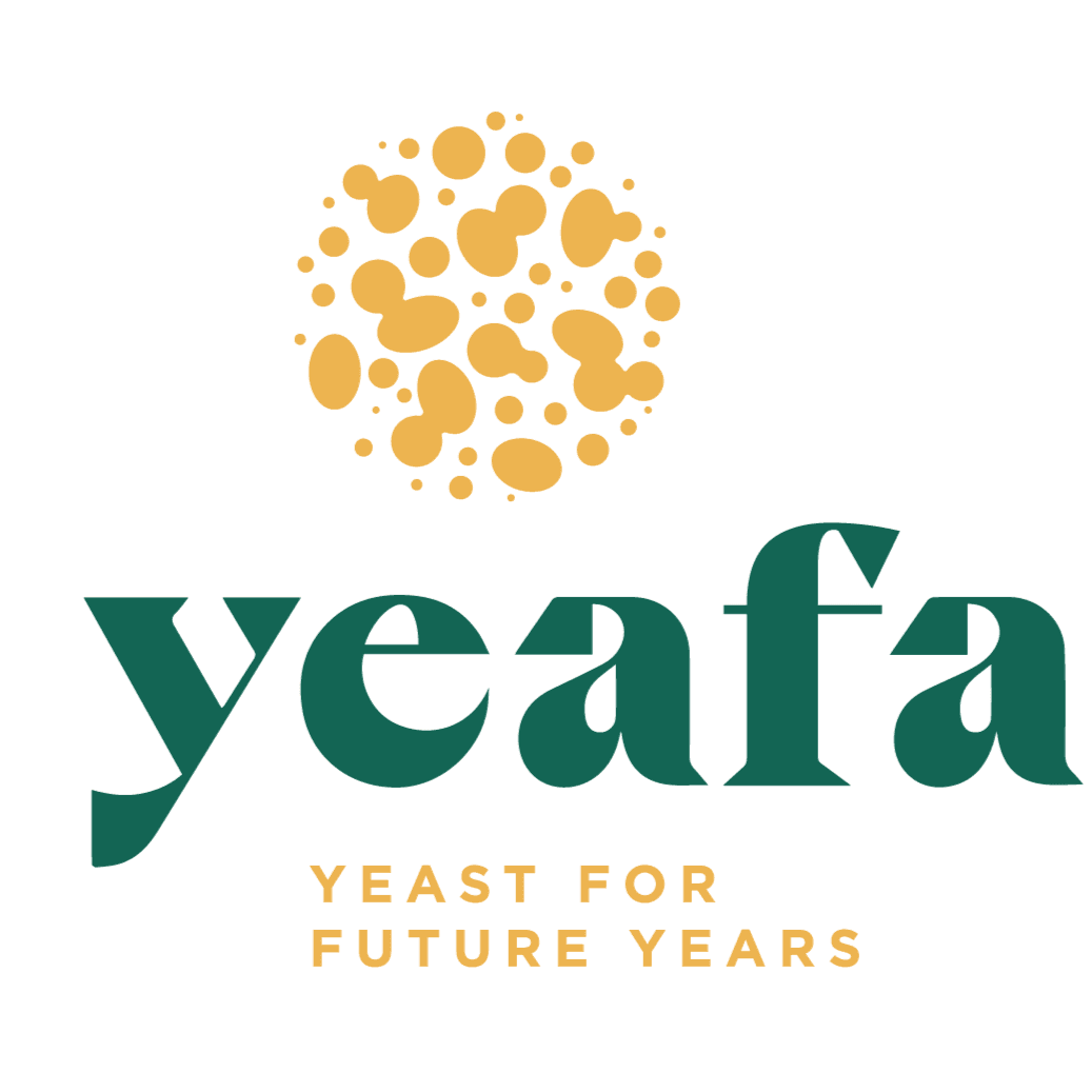 Yeafa nv logo