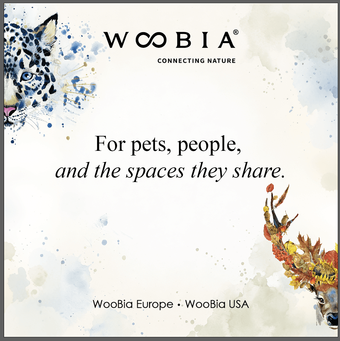 WooBia USA logo