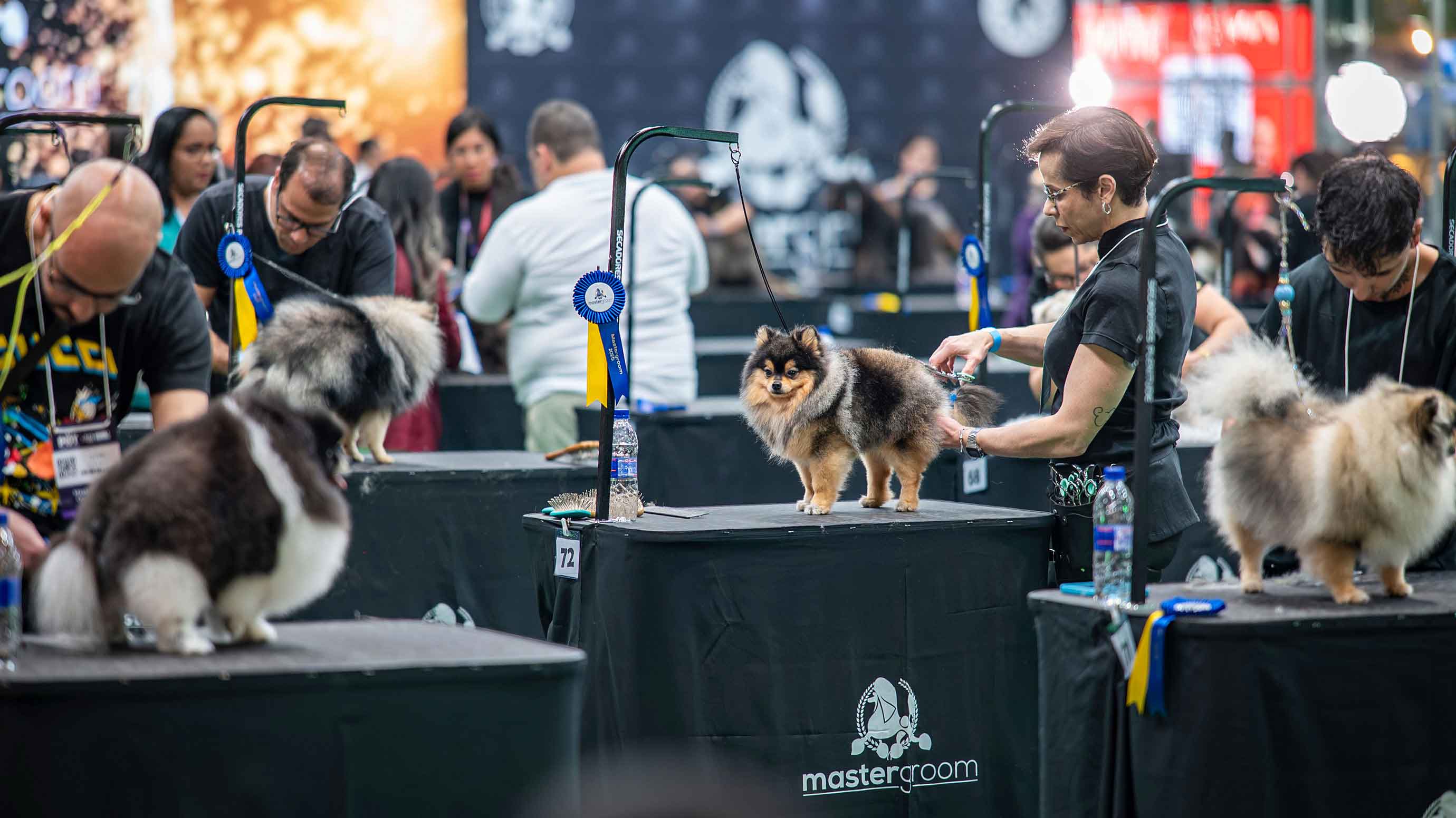 Hunde werden frisiert auf der PET South America