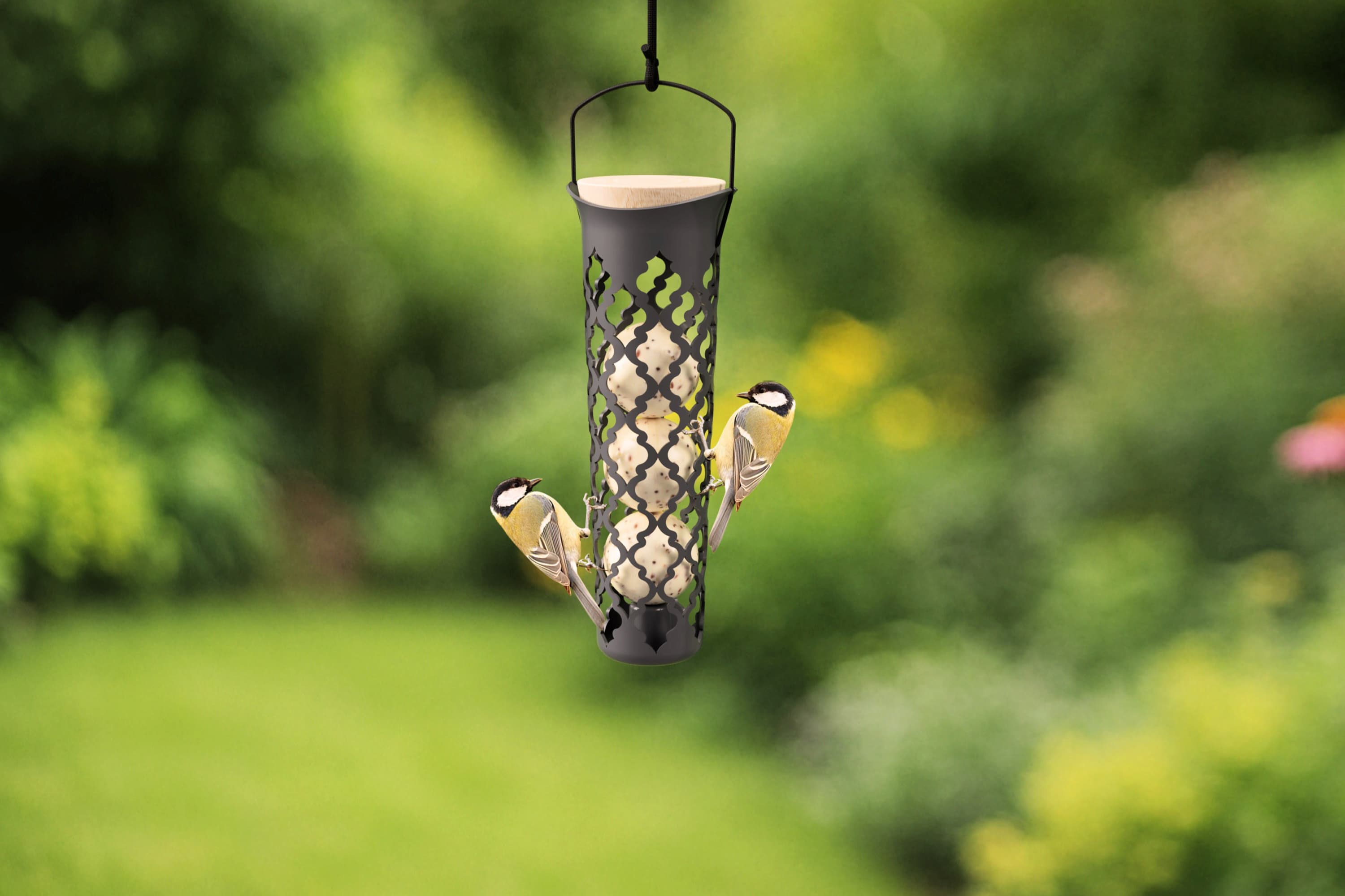 Fauna BV - Singing Friend