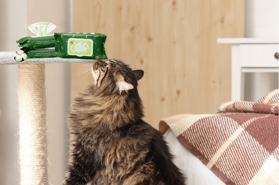 Pet Quarter Co., Ltd.