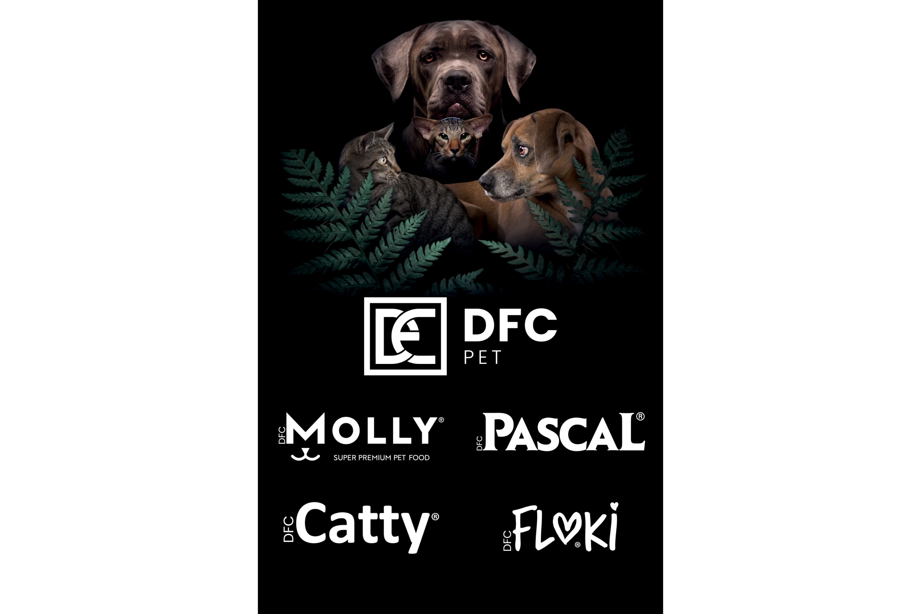 DFC PET İÇ VE DIŞ TİC.LTD.ŞTİ.