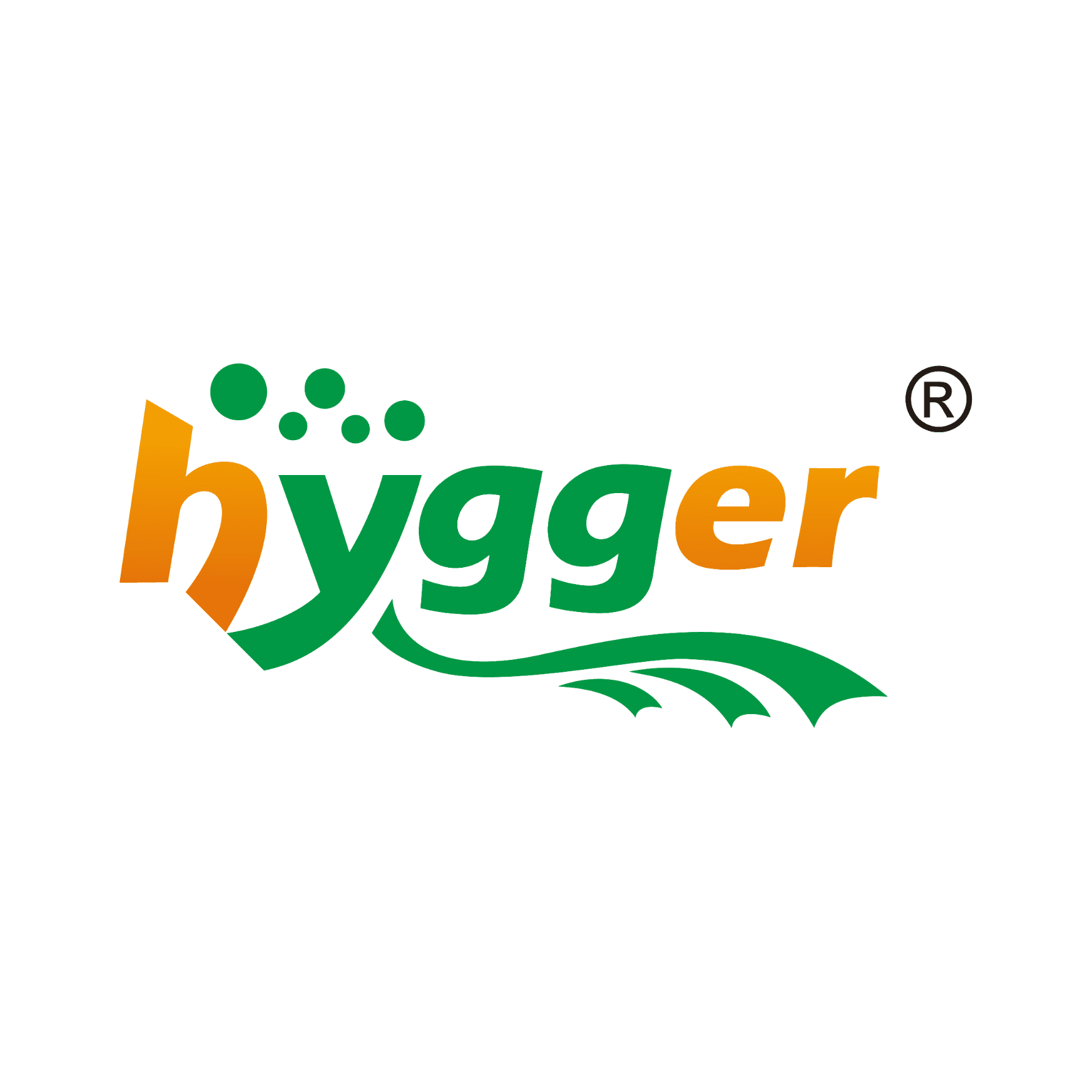 Hygger logo
