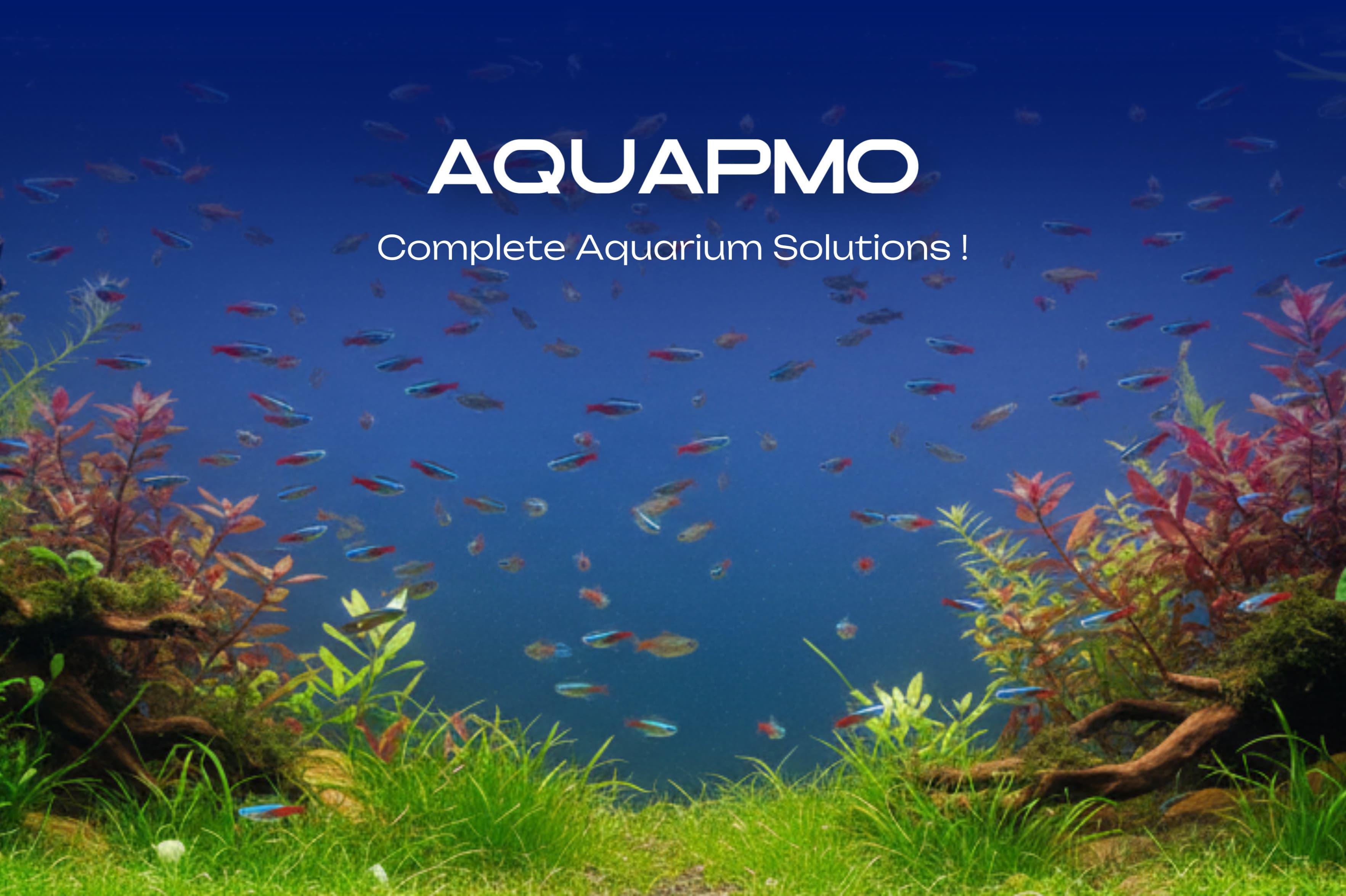 Aquapmo