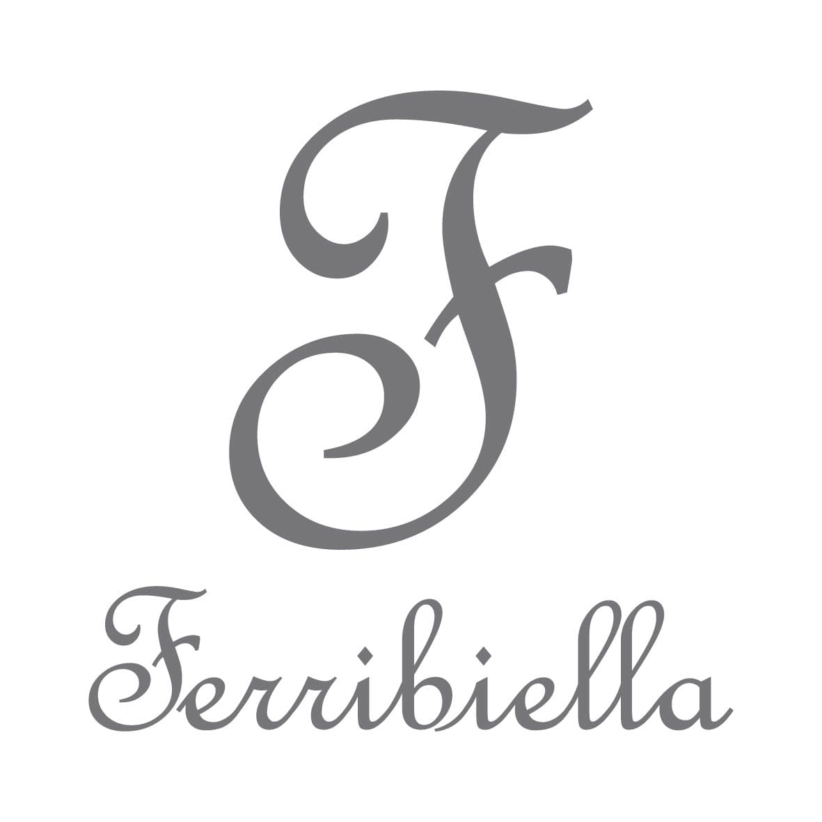 Ferribiella S.p.A. logo