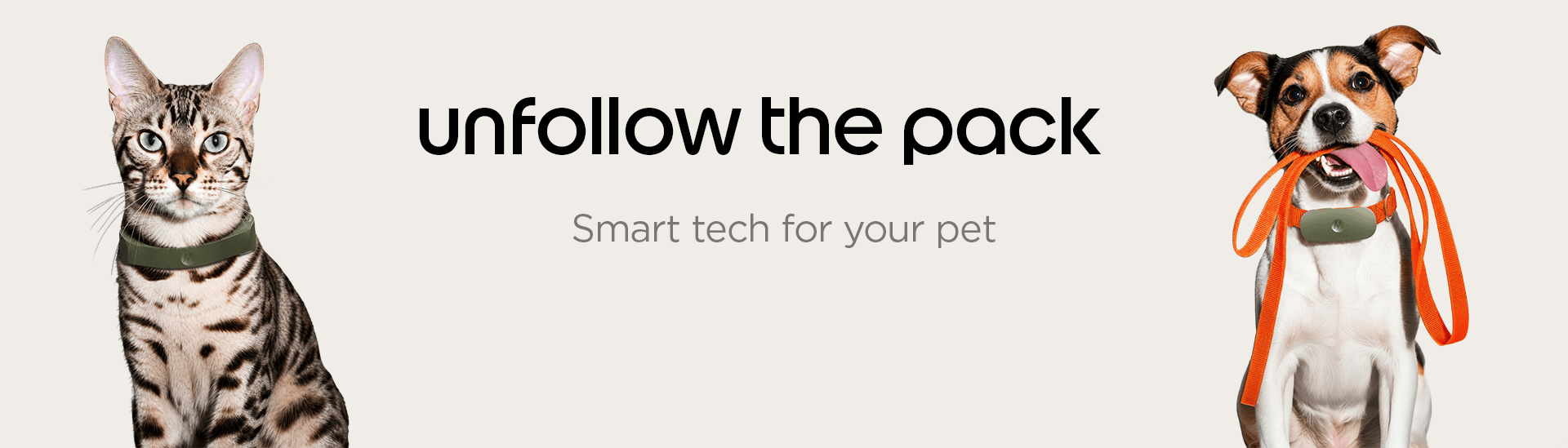 Motorola Pet