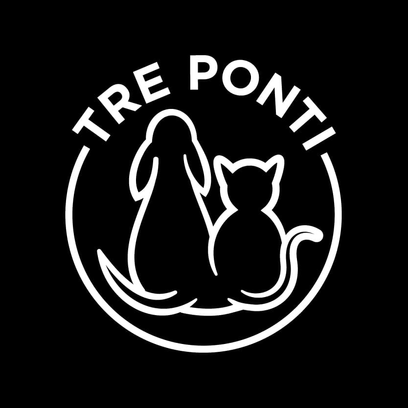 Tre Ponti S.r.l. logo