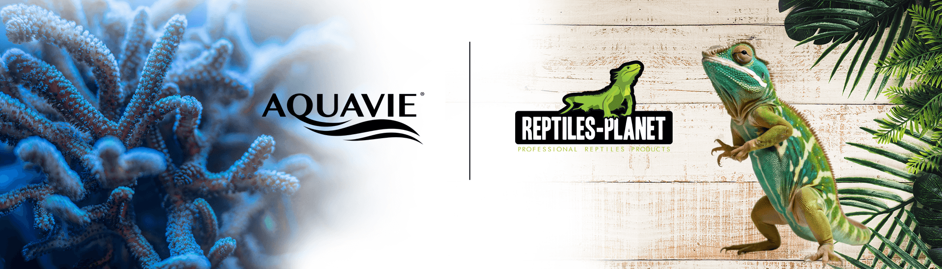 AQUAVIE / REPTILES-PLANET