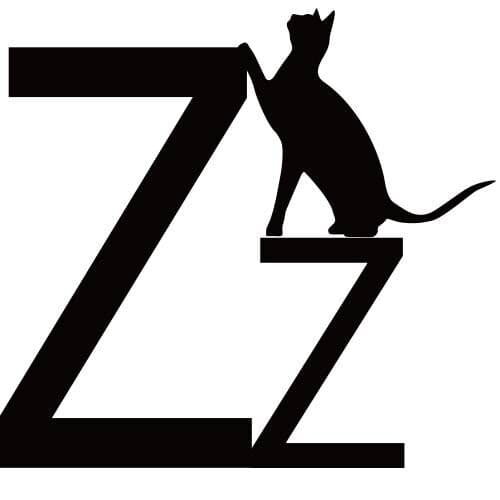 DONGGUAN ZHIZAO PAPER TECHNOLOGY CO., LTD. logo