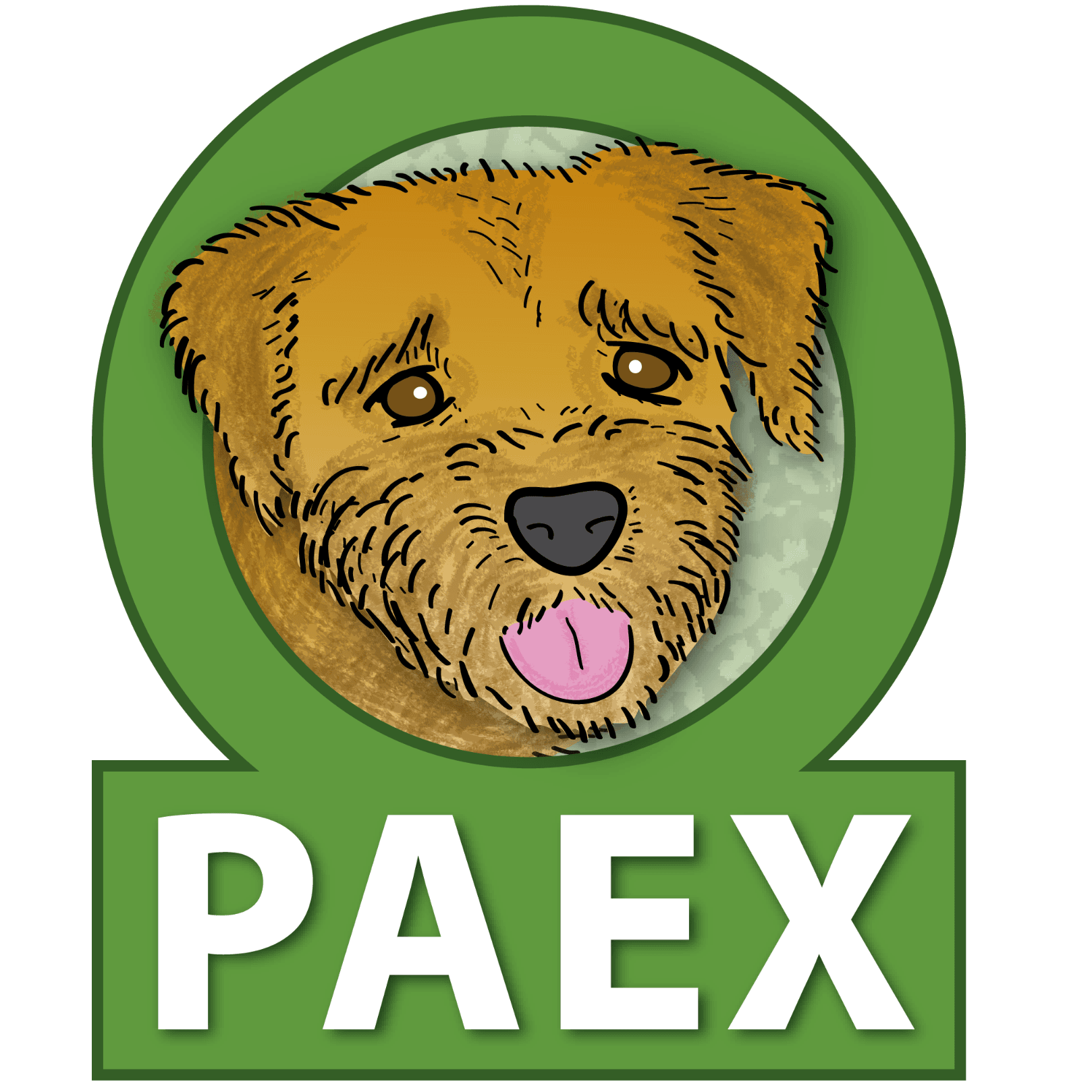 PAEX GmbH logo