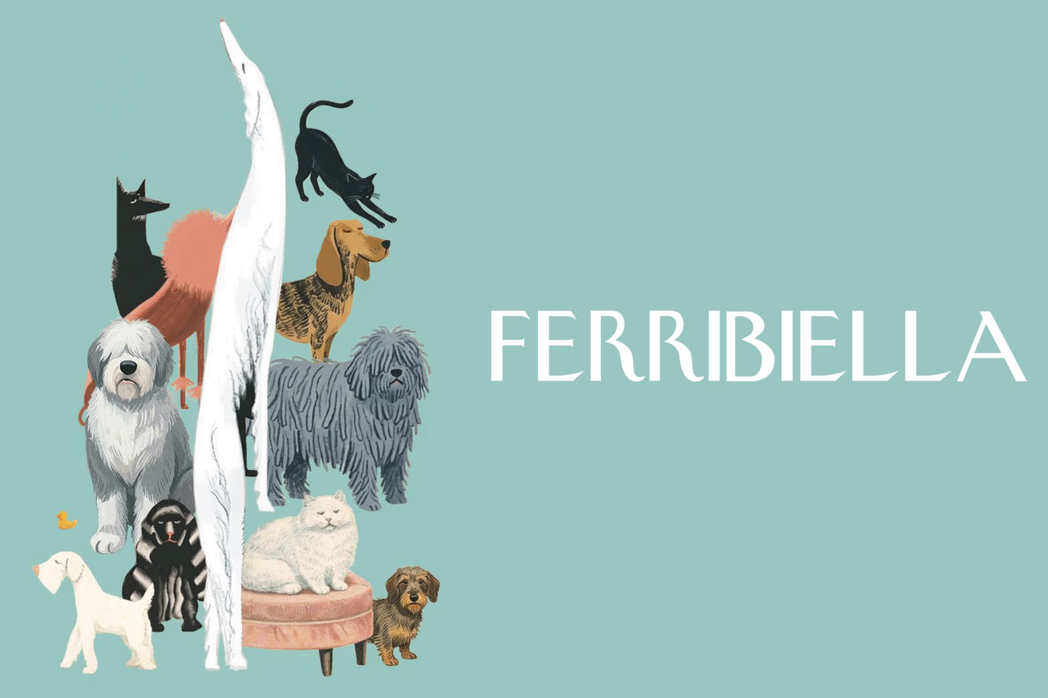 Ferribiella S.p.A.